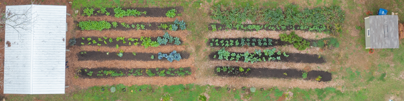 TLH Farm Field from above