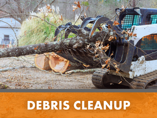 Debris Cleanup